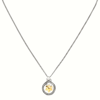 Herod small pendant